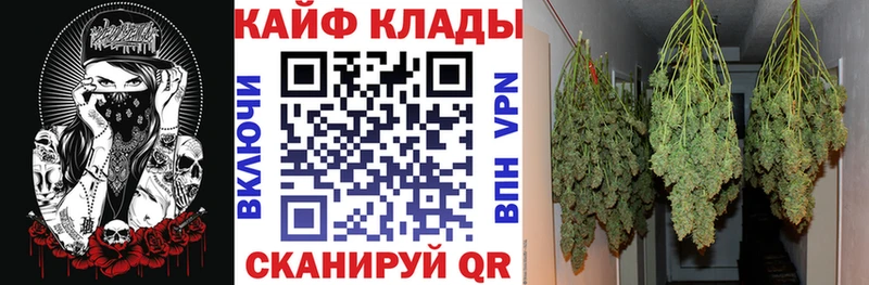 Купить наркотик Кудрово АМФЕТАМИН hydra как войти Кодеин Каннабис МЕФ