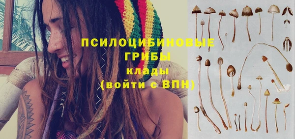 гидропоника Алзамай