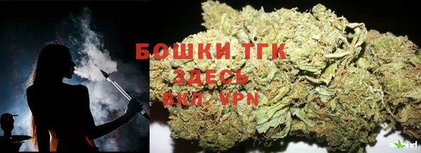 гидропоника Алзамай