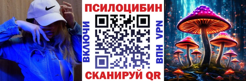 закладка Кудрово Галлюциногенные грибы мицелий