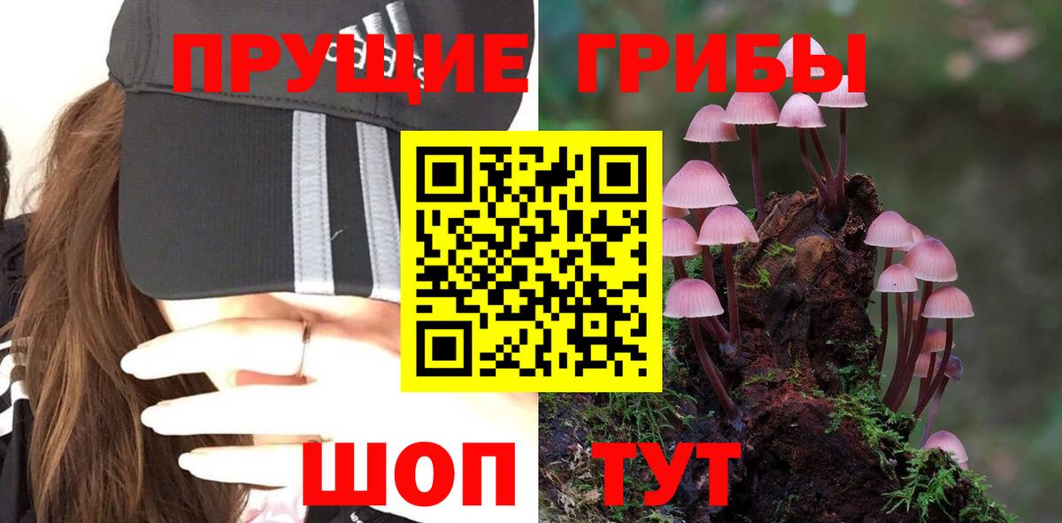 Псилоцибиновые грибы GOLDEN TEACHER Кудрово