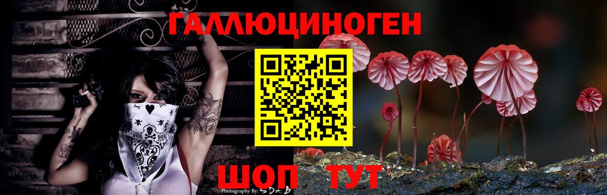 Галлюциногенные грибы Cubensis  Вход с VPN  Псилоцибиновые грибы мицелий  Кудрово 